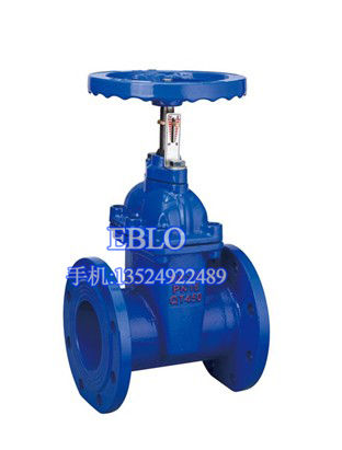 上海依博羅軟密封鑄鐵暗桿閘閥（帶顯度）