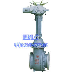 上海依博羅排渣閘閥