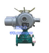 依博羅G941J-10電動(dòng)襯膠隔膜閥DN20-DN300