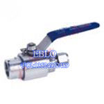 上海依博羅Q91SA異徑球閥