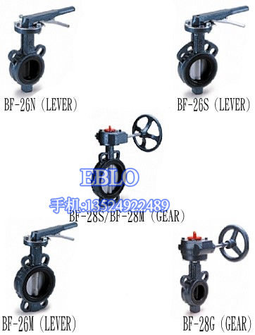 臺灣317鑄鐵蝶閥