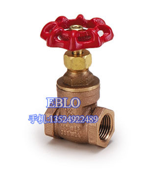 臺灣317銅閘閥TF-051