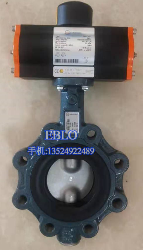 德國(guó)依博羅EBRO支耳式渦輪蝶閥Z014-A